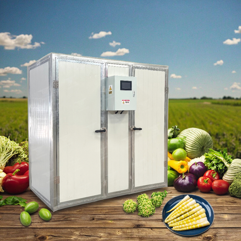 Hot Sale Paddy Drying Machine Small