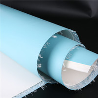 100% Polyester Double Paroi Tissu Gonflable Paddle Board TPU Lit Gonflable/Airmattress Dropstitch Tissu Tapis De Gymnastique PVC Voitures