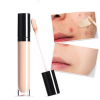 Logo privé personnalisé fond de teint de maquillage longue durée imperméable à l'eau couverture complète liquide correcteur stylo bâton femme