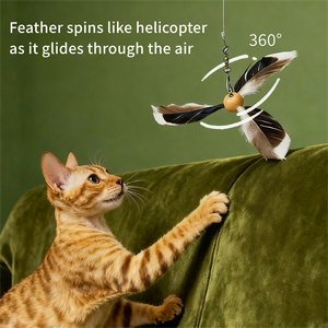 AFP Großhandel Indoor Interactive Pet Cat Teaser Zauberstab Spielzeug Real Natural Feather 360 Grad Windmühle Erweiterbarer Cat Teaser Wand - Product Image 2
