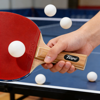 Ensemble de raquettes de ping-pong portables de niveau professionnel Taspo, en bois de peuplier noir durable et élastique, base en 17 couches, respectueux de l'environnement