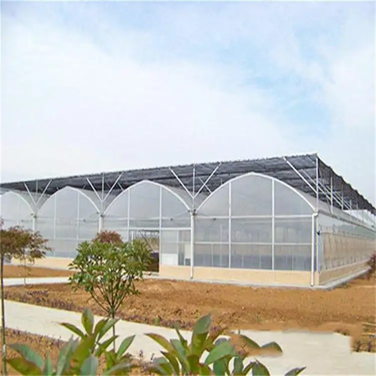 Greenhouse sintonização sistema cultivo casa verde para legumes