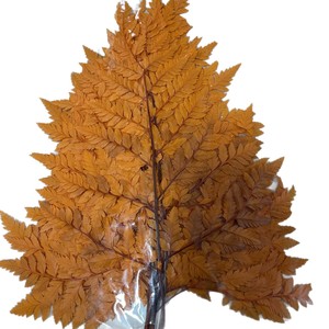 Fiori Secchi e <span class=keywords><strong>Felce</strong></span> in Pelle Preservata Best Seller per Decorazioni Domestiche per la Celebrazione del Capodanno Cinese - Product Image 6
