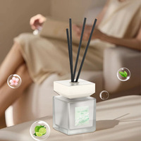 Ensemble de diffuseur à roseaux personnalisé de grande capacité de 200ml pour l'aromathérapie intérieure d'hôtel et la décoration intérieure aromatique durable