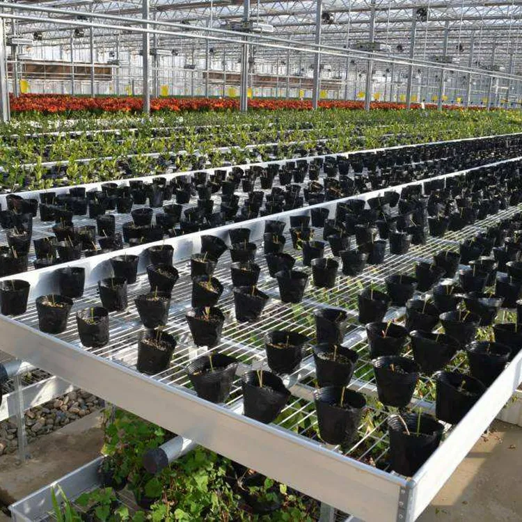 Agricultura comercial estacionaria EBB y bandeja de flujo bandeja de mesa de inundación Banco rodante estantes de cultivo con sistema de circulación de aire