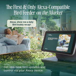 Mangeoire à oiseaux intelligente en métal, nouvelle conception JH-Mech, avec caméra, résistante aux intempéries, écologique, pour attirer les oiseaux sauvages et diffuser en direct. - Product Image 4