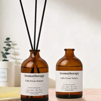Diffuseur d'huiles essentielles en verre écologique de 100 ml, design nordique pour la décoration de la maison, avec libération de parfum longue durée