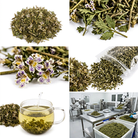 Herbe de l'œil-de-léon séchée (Euphrasia Officinalis) coupée et tamisée, herbe unique, ingrédient naturel pour tisane, vente en gros en vrac