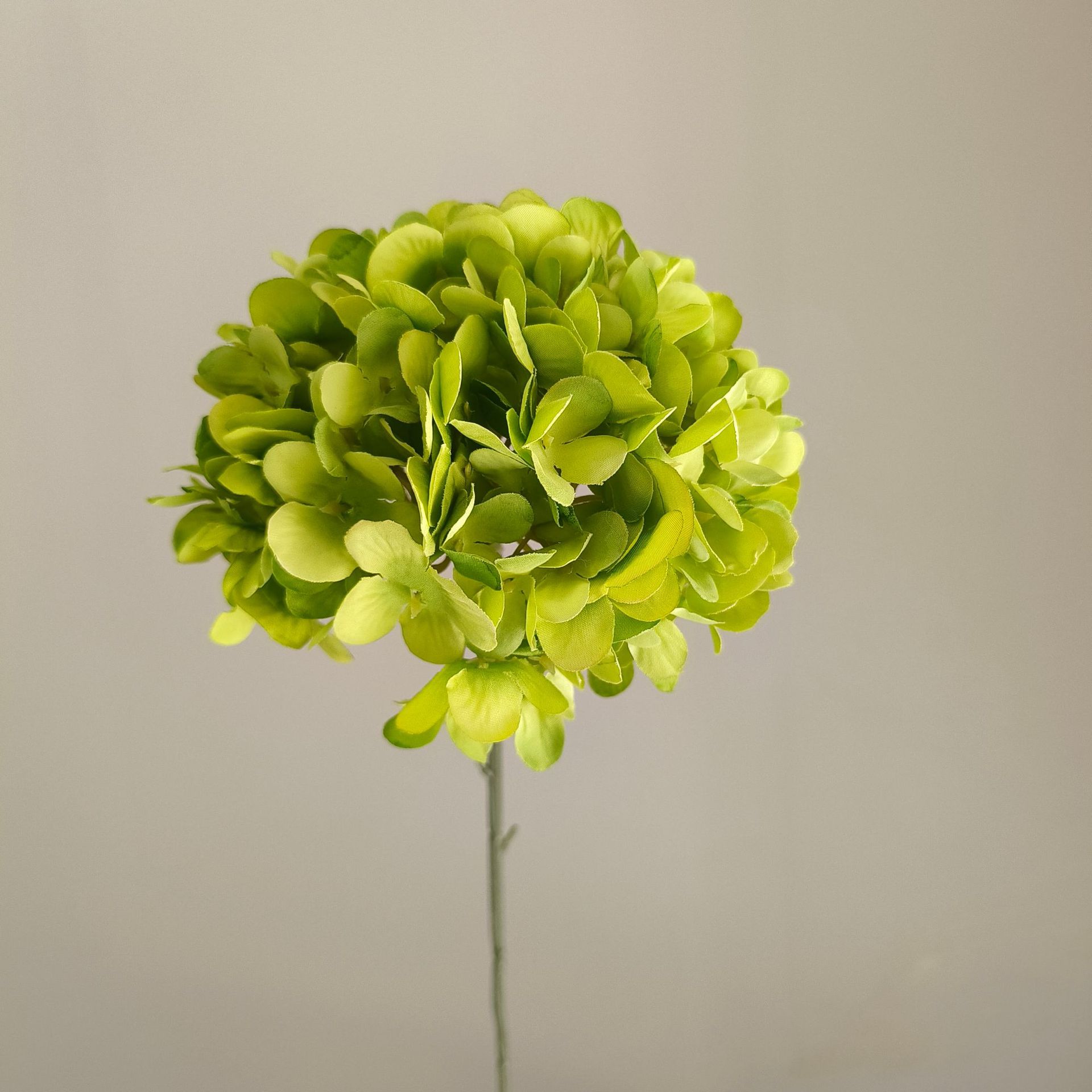 Vert
