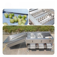 Machine de tri et de calibrage des fruits : tomates cerises, myrtilles, pommes, agrumes, oignons