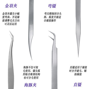 Pince à épiler pour extensions de cils Bailiwei, en acier inoxydable, courbée avec précision, pour usage domestique - Product Image 1
