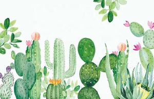 Colorido <span class=keywords><strong>cactus</strong></span> desierto naturaleza Diseño impresión tamaño grande personalizado hasta 3*5m y 3,2*10M/pieza mural de pared de tela de gama alta - Product Image 5