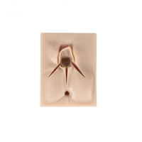 Kit de simulation de suture d'épisiotomie périnéale latérale en silicone, modèle d'entraînement à 3 plaies pour les sciences médicales