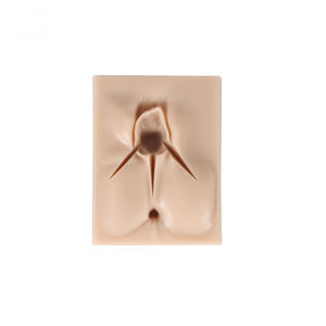 Kit <span class=keywords><strong>de</strong></span> Simulador <span class=keywords><strong>de</strong></span> Sutura <span class=keywords><strong>de</strong></span> Episiotomía Perineal Lateral <span class=keywords><strong>de</strong></span> Vulva <span class=keywords><strong>de</strong></span> Silicona, Modelo <span class=keywords><strong>de</strong></span> Entrenamiento <span class=keywords><strong>de</strong></span> 3 <span class=keywords><strong>Heridas</strong></span> para Ciencias Médicas - Product Image 5