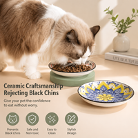 Fabricant en gros de bols pour animaux de compagnie en céramique multicolores personnalisés OEM ODM ; bol pour chat en céramique écologique avec base en silicone antidérapante.