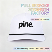 Casquette de baseball sportive personnalisée avec logo brodé 3D, vente en gros OEM, pour hommes et femmes, haute qualité, 100% polyester, ajustable, toutes saisons, 5 panneaux