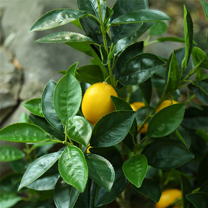 Mới nhất nhựa màu xanh lá cây thực sự cảm ứng nhân tạo cây chanh với trái cây cho trang trí sân vườn nhà - Product Image 5