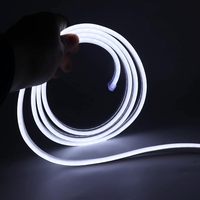 Bande LED flexible en silicone néon 5m blanc chaud 2700K 24V Dimmable, étanche IP65 avec alimentation télécommandée