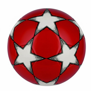 Ballon de football professionnel de haute qualité, entièrement cousu à la main, en cuir, design durable et léger, pour les matchs en intérieur/extérieur, personnalisable - Product Image 1