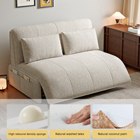 Canapé-lit moderne double usage, inclinable, extensible et pliable, multifonctionnel avec rangement, en métal et tissu, idéal pour petits salons et hôpitaux