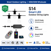 Guirlandes lumineuses intelligentes à ampoules PC S14 incassables, lumières féériques LED RGB à changement de couleur avec câble en caoutchouc robuste pour une utilisation en extérieur