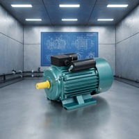 Moteur asynchrone monophasé OMEIK série YL 1HP 2HP 10HP 1450 tr/min, cadre 130 mm, montage sur pied, entièrement fermé, 50/60Hz