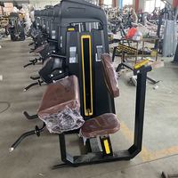 Équipement de musculation professionnel de haute qualité pour curls aux biceps assis et extensions aux triceps, avec sélection de charge par pignon, machines biceps/triceps