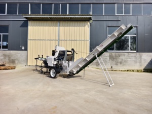 Oem cắt lớn công suất 20 tấn <span class=keywords><strong>log</strong></span> <span class=keywords><strong>Splitter</strong></span> Máy EPA Xăng gỗ Bộ vi xử lý - Product Image 5