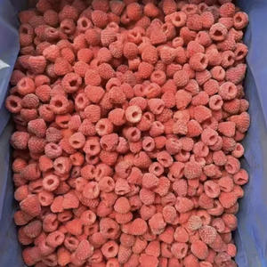 Frambuesas Congeladas Sinocharm HACCP, Fruta Fresca Orgánica Sin <span class=keywords><strong>Gusano</strong></span>, IQF, Frambuesas Congeladas 100% Enteras para Bebidas y Jugos - Product Image 5