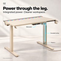 Pieds de bureau en métal avec alimentation électrique, table élévatrice, bande lumineuse RGB, gestion des câbles, bureau commercial MAGNUSS