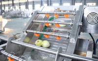 Ligne de lavage de fruits et légumes, Laveuse à immersion pour légumes-feuilles, laitue, chou, épinards, Nettoyant à lavage doux