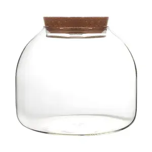 dia16cm厘米玻璃罐玻璃容器，带彩色发光二极管软木塞，用于植物玻璃鱼缸