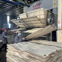 Peuplier Pin Eucalyptus Bouleau LVL Contreplaqué 4*8 Pieds E0 pour Porte Cadre Fenêtre Cadre Maison Meubles En Bois Armoires Espace Capsule
