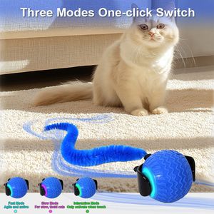 Fabrika interaktif kedi topu oyuncaklar 360 akıllı öz hızlı haddeleme kedi oyuncak Speedy kuyruk 2.0 otomatik hareketli Peppy köpek evcil hayvan topu oyuncaklar - Product Image 5