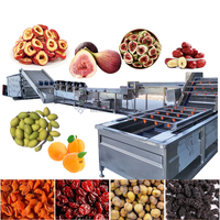 Machine industrielle de lavage et de séchage des dattes, four de séchage pour figues, déshydrateur pour prunes, abricots et pruneaux