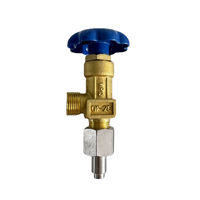 Vanne à aiguille angulaire en laiton, volant bleu, filetage mâle, adaptateur en acier inoxydable, vanne à aiguille angulaire d'instrumentation