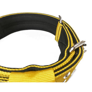 Collier pour chien, boucle rose tactique réglable, grande taille, <span class=keywords><strong>2</strong></span> pouces, robuste - Product Image 3