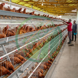 Nouvelle cage à poules pondeuses à 4 niveaux et 5 portes pour 160 oiseaux, galvanisée à chaud, avec système de collecte automatique des œufs, pour élevages avicoles - Product Image 1