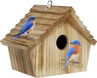 Nichoir pour oiseaux en bois de pin durable, résistant à l'eau, écologique, à suspendre en extérieur, avec crochets pour la décoration du jardin et de la cour
