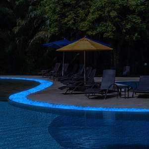 Piedras Brillantes en la Oscuridad de Alta Calidad, Ecológicas y Duraderas de 5-8 mm para Jardín, Paisajismo, Acuarios, Pavimentación, Caminos y Plantas Suculentas - Product Image 5