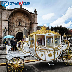 Offre Spéciale chariot à chevaux électrique royal européen à vendre - Product Image 6