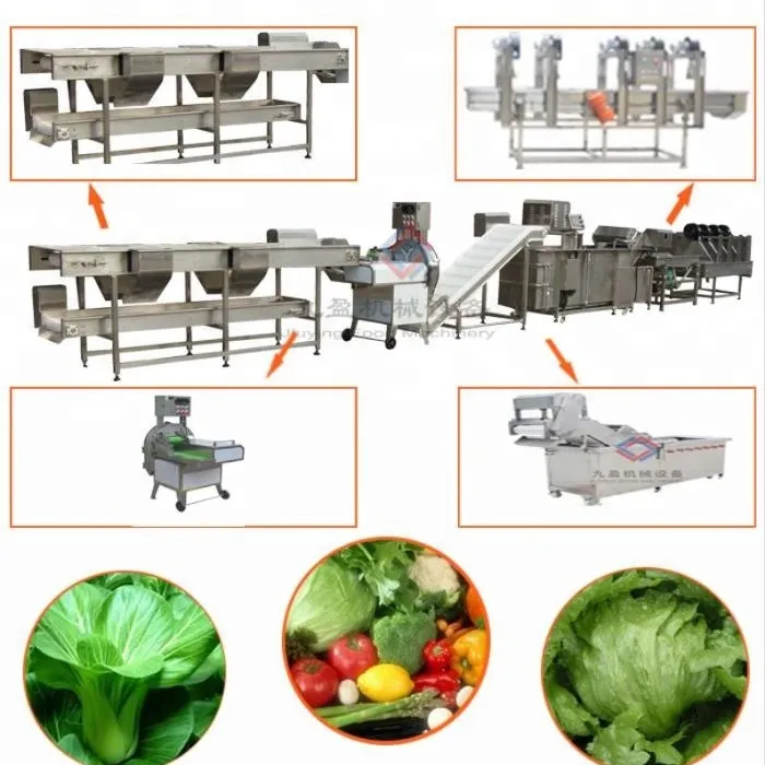 산업 자동 야채 과일 세척 생산 라인 샐러드 처리 가격