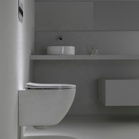 WC suspendu de luxe à chasse d'eau silencieuse en vortex, forme ronde