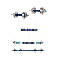 Ensemble d'haltères ronds en argent électroplaqué personnalisés pour la salle de sport, haltères métalliques pour l'entraînement en intérieur