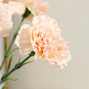 Ramo de Claveles Realistas con Aspecto Natural, Regalos para el Día de la Madre y del Maestro, Decoración para Salas de Estar, Planta Artificial Preservada - Product Image 4