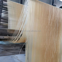 2025 Machine à nouilles de maïs Ligne de production commerciale de machines à vermicelles du Vietnam Machine à vermicelles horizontale en acier inoxydable