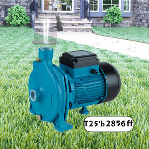 Ev için popüler tarzı elektrikli su pompası 1 inç periferik basınç tek kademeli Jet karter pompası 60Hz - Product Image 4