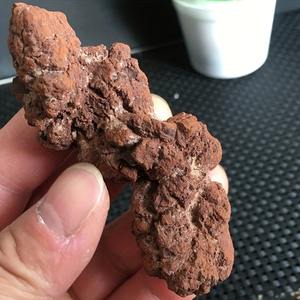 Décoration en pierre de caca de dinosaure réaliste en gros, pierres naturelles de guérison cristalline pour une décoration intérieure unique et des cadeaux de vacances - Product Image 5