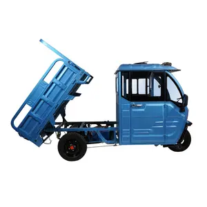 2024 USA DOT Electric Tricycles Adults Cargo Closed Electric Tricycles For Farm Working
