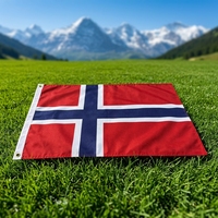 Drapeau Norvégien 90*150 cm Impression Numérique Polyester Mât en Acier Inoxydable 35 pieds Fournisseur Direct Transfrontalier